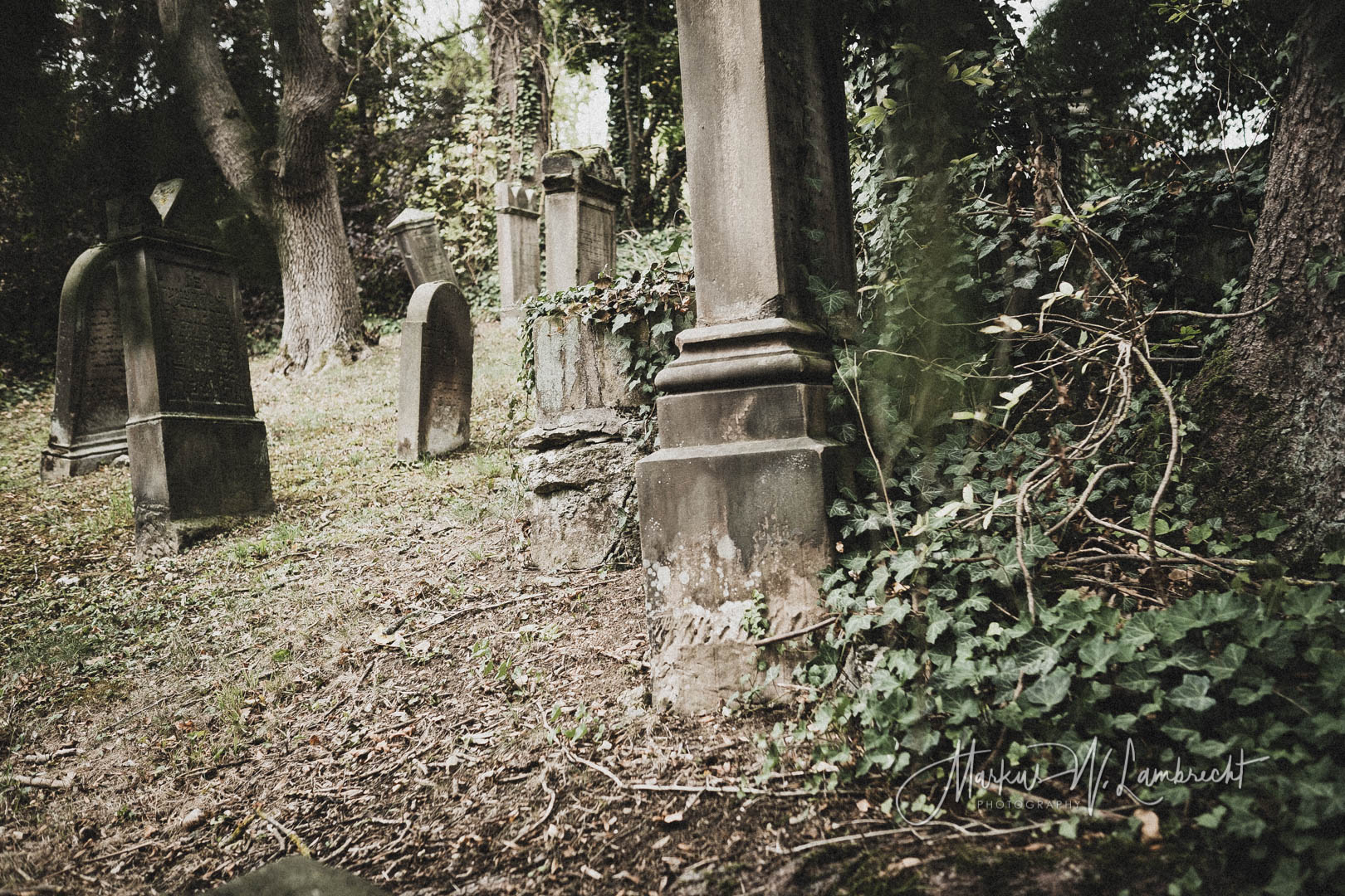 Rimbeck, Jüdischer Friedhof